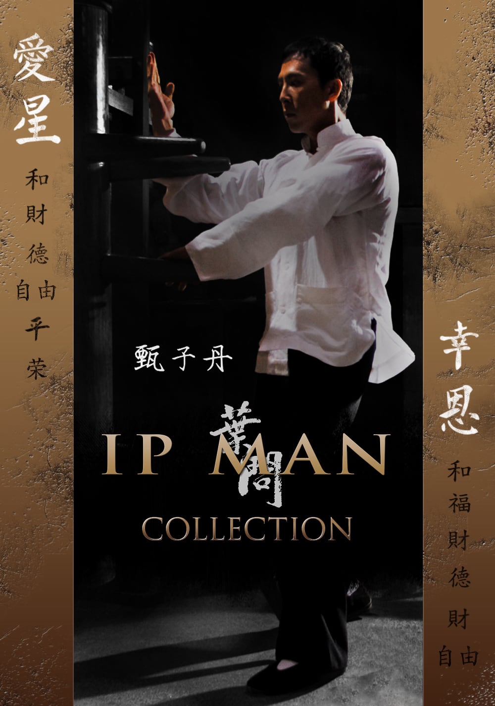 دانلود کالکشن فیلم ایپ من Ip man دانلود کالکشن فیلم ایپ من Ip man