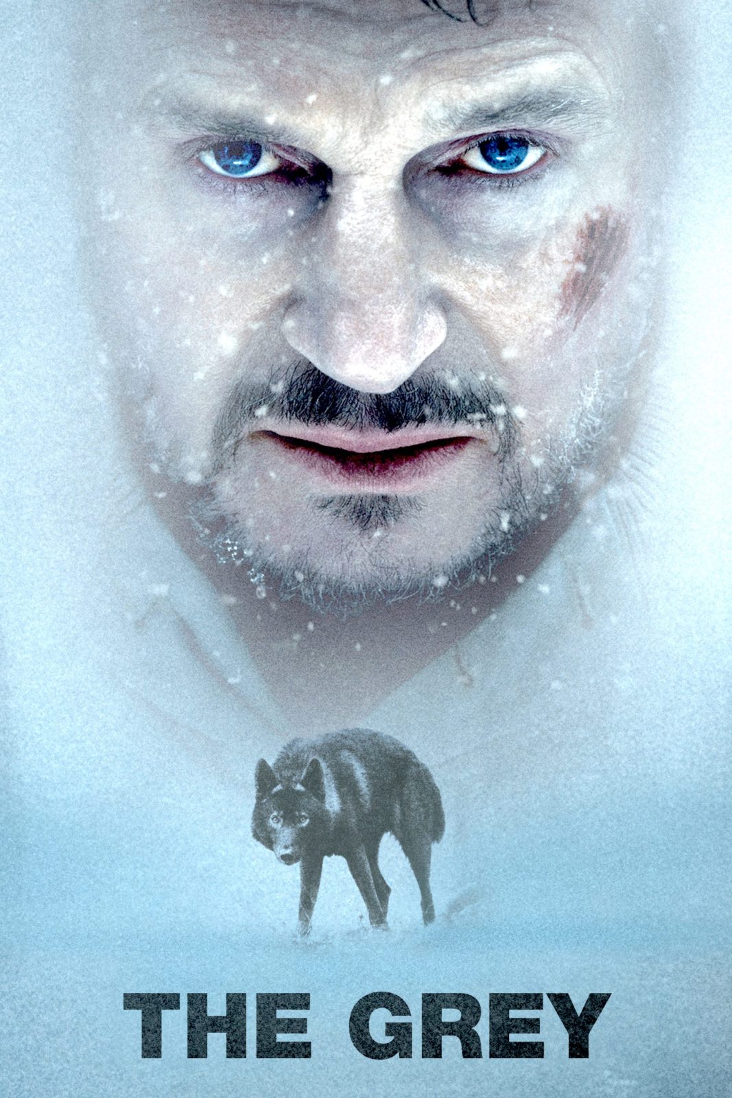 دانلود فیلم The Grey 2011 خاکستری دانلود فیلم The Grey 2011 خاکستری