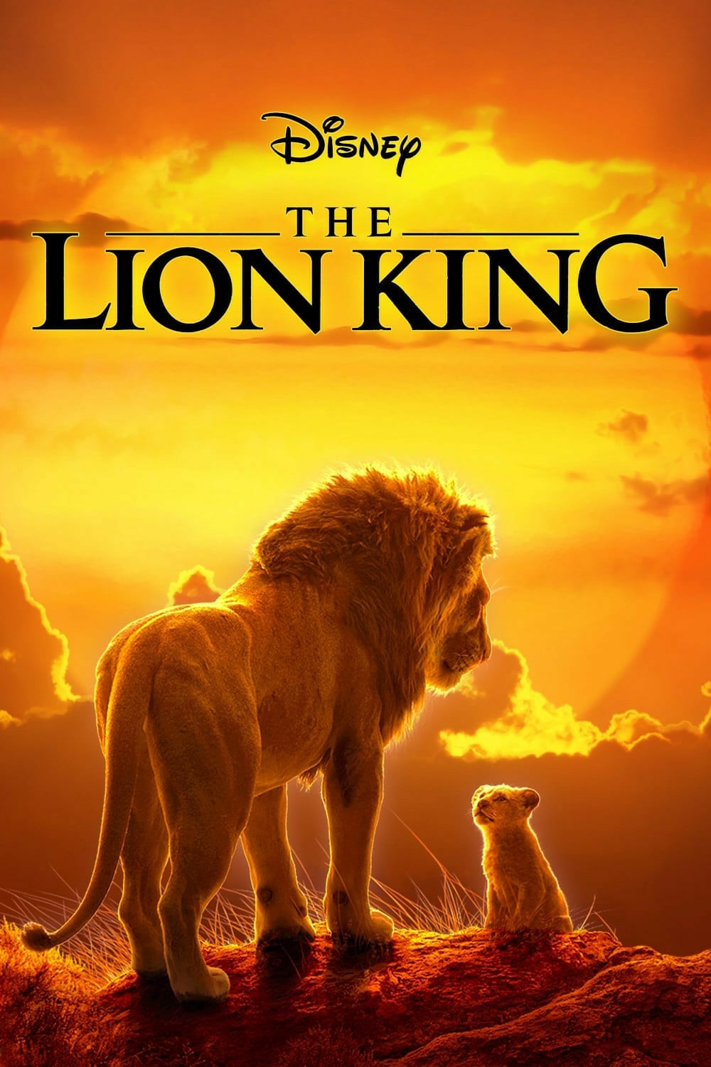 دانلود فیلم The Lion King 2019 دانلود فیلم The Lion King 2019
