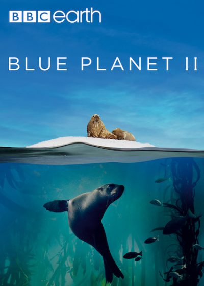 دانلود سریال Blue Planet II دانلود سریال Blue Planet II