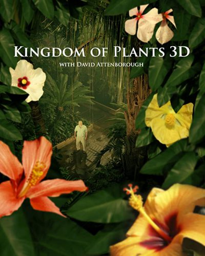 دانلود سریال Kingdom of Plants 3D دانلود سریال Kingdom of Plants 3D