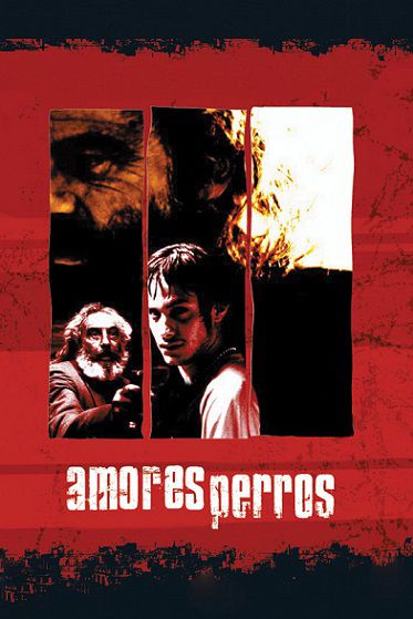 دانلود فیلم Amores perros 2000 دانلود فیلم Amores perros 2000