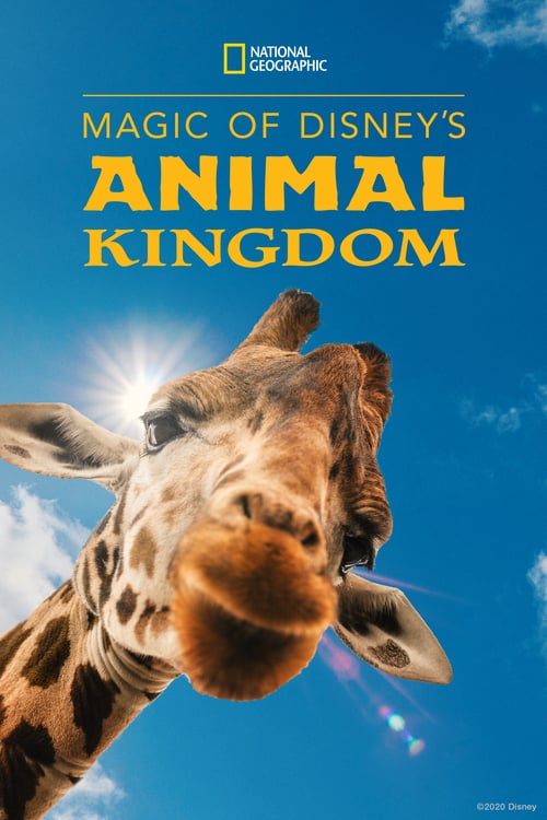 دانلود سریال Magic of Disney’s Animal Kingdom دانلود سریال Magic of Disney’s Animal Kingdom