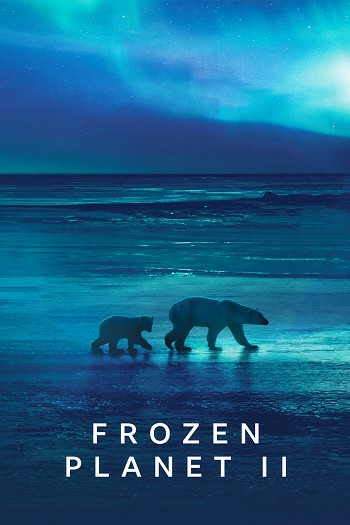 دانلود سریال Frozen Planet II دانلود سریال Frozen Planet II
