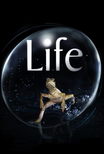 دانلود سریال Life دانلود سریال Life