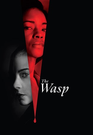 دانلود فیلم The Wasp 2024 زنبور دانلود فیلم The Wasp 2024 زنبور